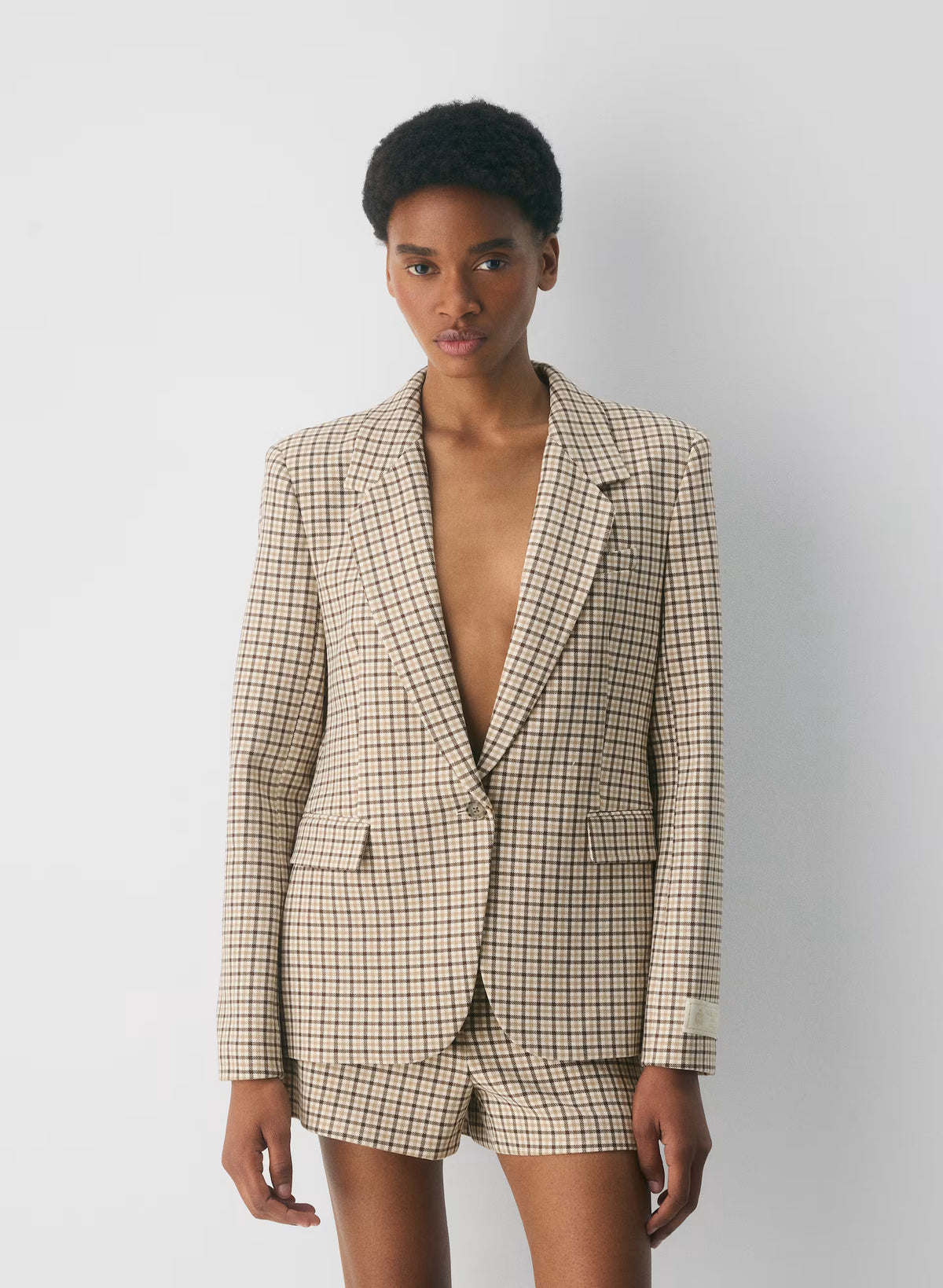 Single-Breasted Stretch Blazer - Check