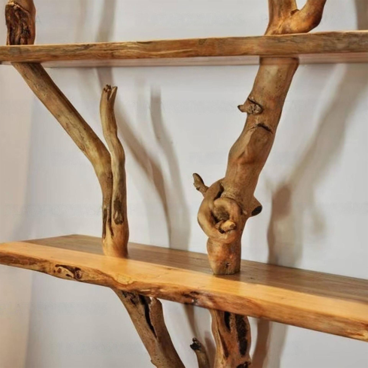 Artistic Solid Wood Tree Bookshelf with Floating Branch Shelves - view 4