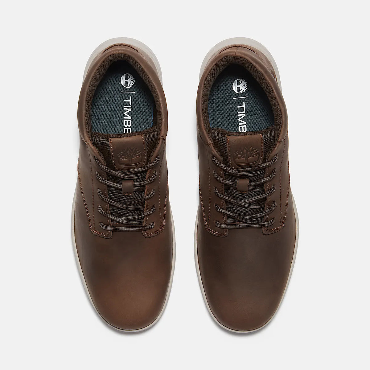 Men's Low Sneaker