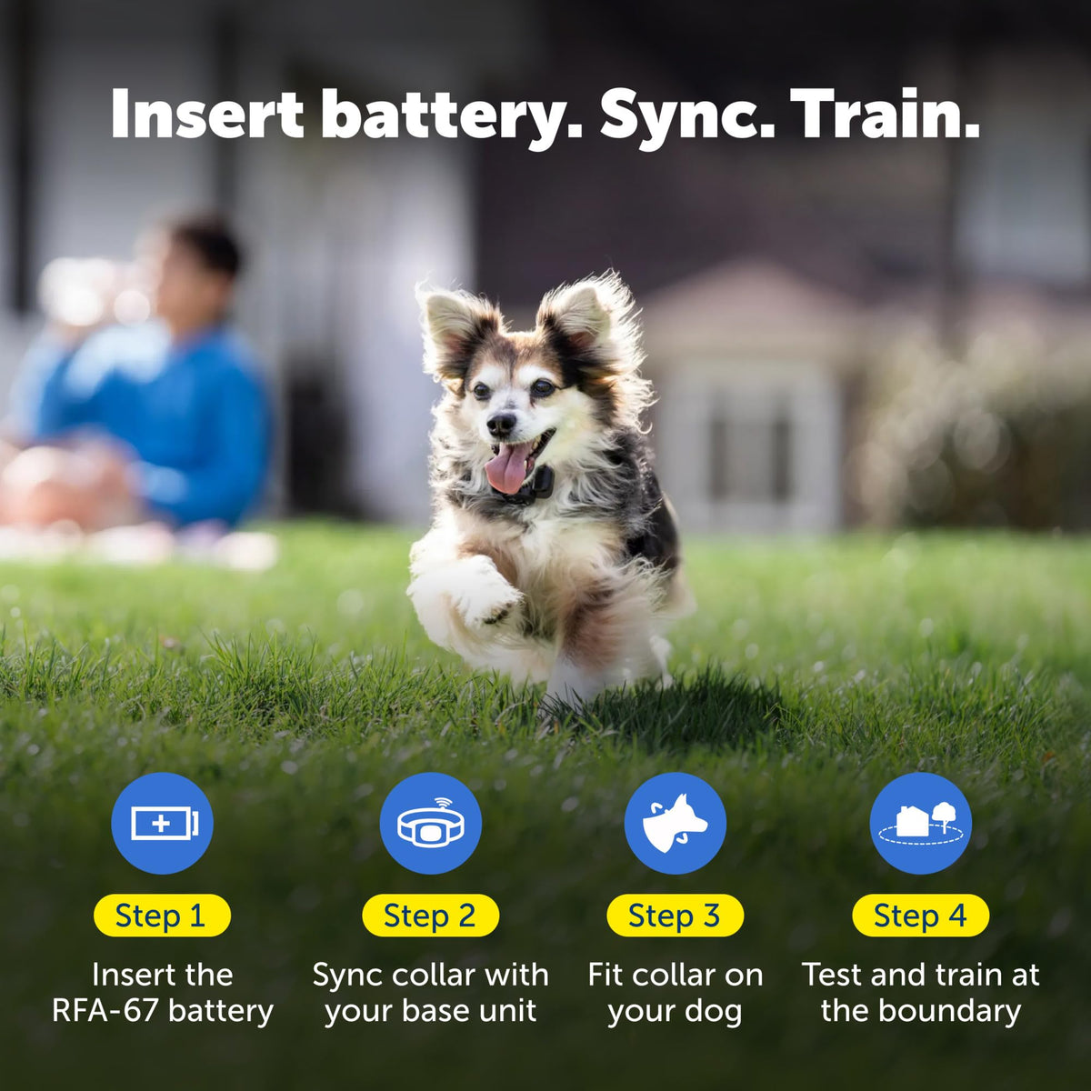 PetSafe Wireless Pet Containment System Collar