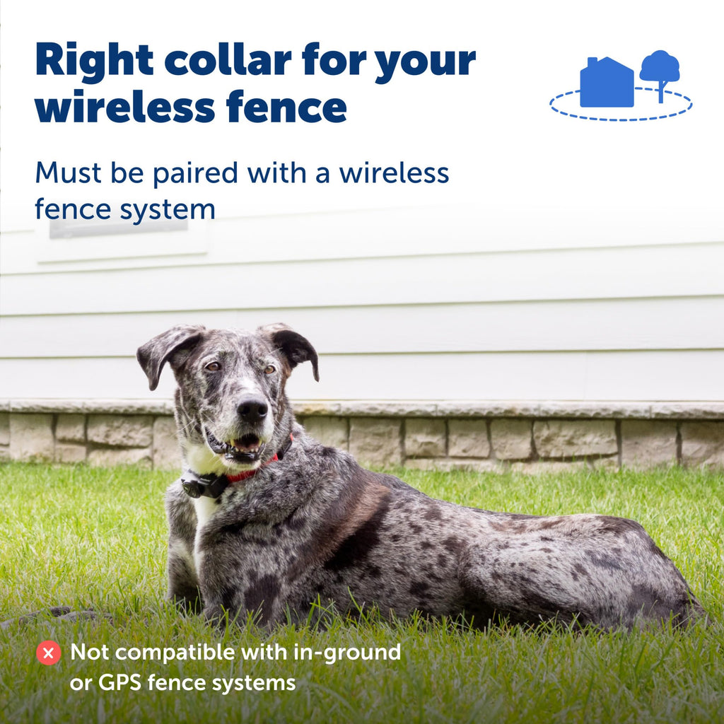 PetSafe Wireless Pet Containment System Collar