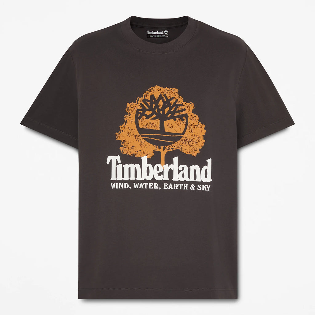 Men's Graphic T-Shirt