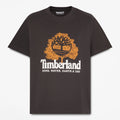 Men's Graphic T-Shirt