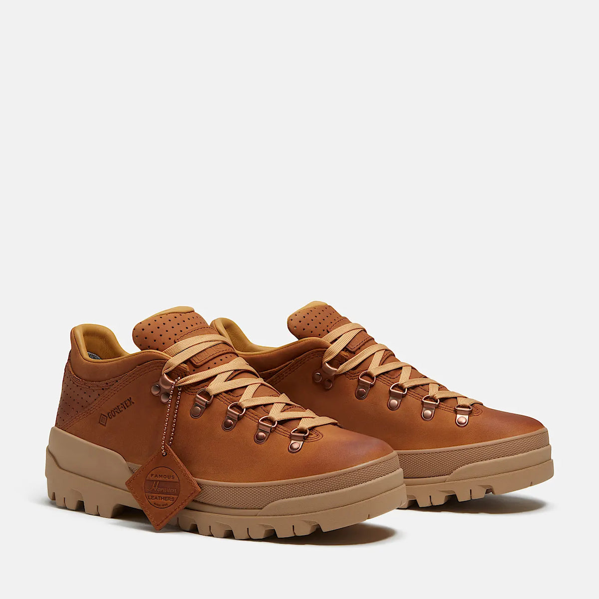 Men's Low Waterproof Membrane Hiking Shoe