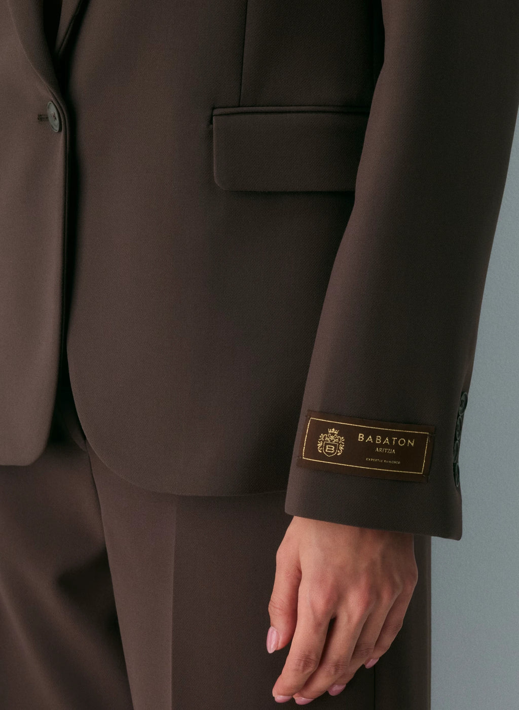 Single-Breasted Stretch Blazer - Check